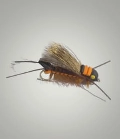 Bullet Head Flies